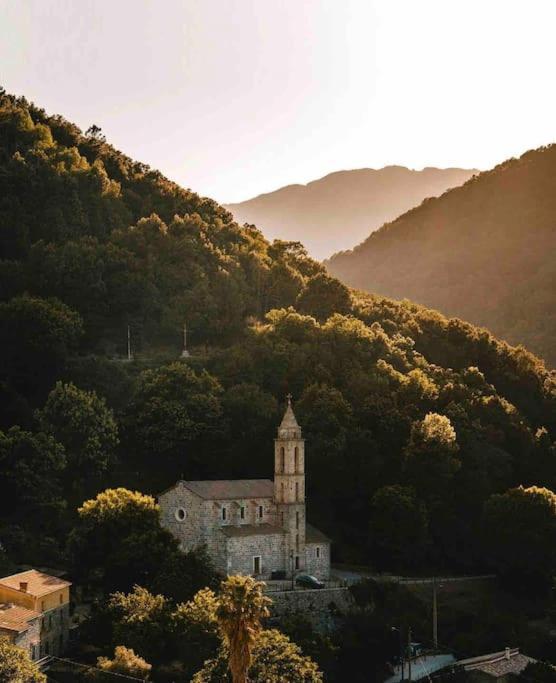 Casa Arena Authentique Maison De Village Avec Piscine Au Coeur De L'Alta Rocca - Zoza Екстериор снимка
