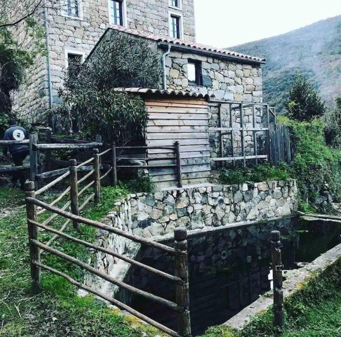Casa Arena Authentique Maison De Village Avec Piscine Au Coeur De L'Alta Rocca - Zoza Екстериор снимка
