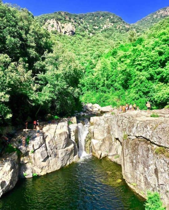 Casa Arena Authentique Maison De Village Avec Piscine Au Coeur De L'Alta Rocca - Zoza Екстериор снимка