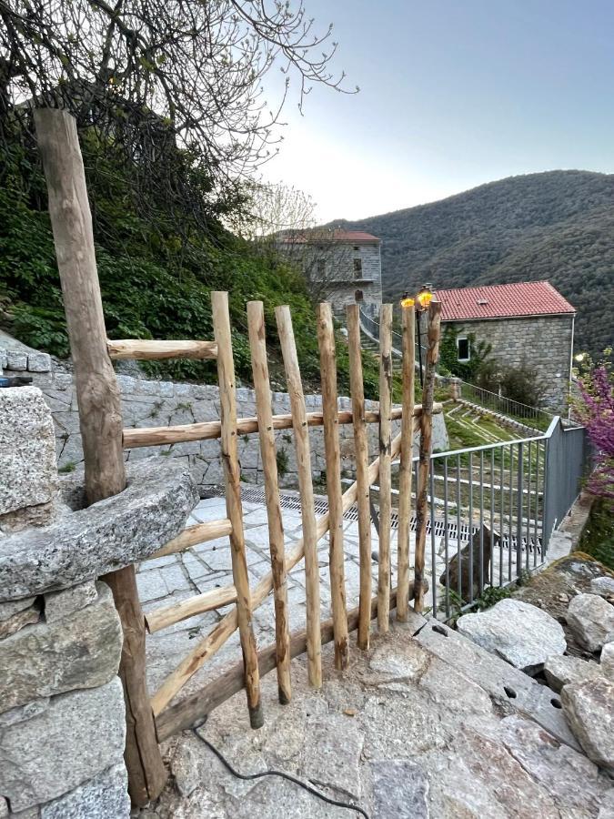 Casa Arena Authentique Maison De Village Avec Piscine Au Coeur De L'Alta Rocca - Zoza Екстериор снимка