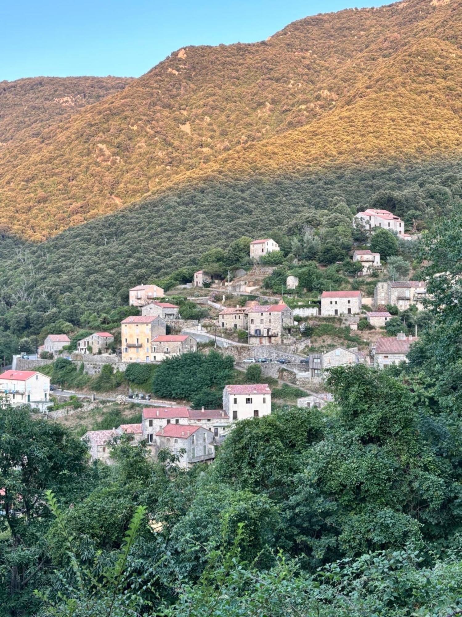 Casa Arena Authentique Maison De Village Avec Piscine Au Coeur De L'Alta Rocca - Zoza Екстериор снимка
